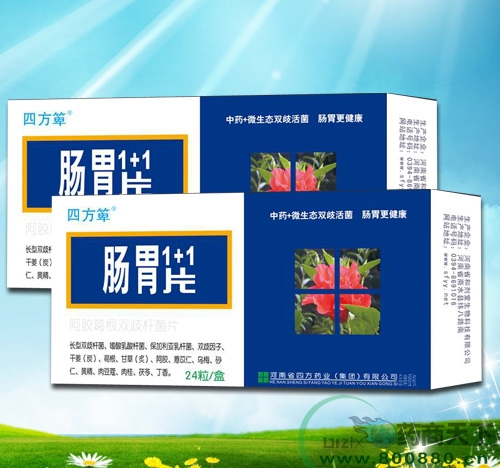 ��θ1+1Ƭ����|˵����