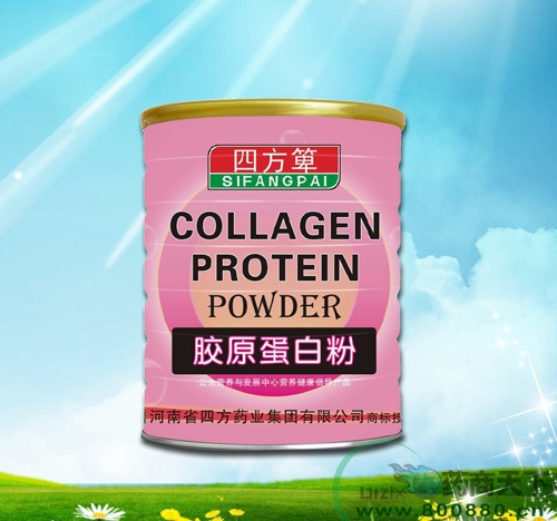 ��ԭ���׷�����|˵����