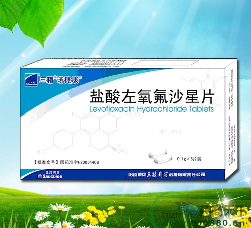 ����������ɳ��Ƭ����|˵����