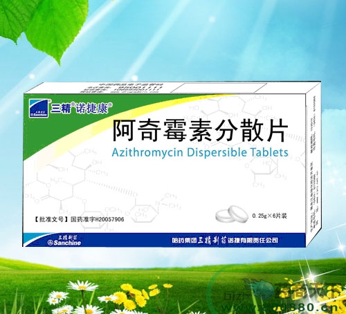 ����ù�ط�ɢƬ����|˵����