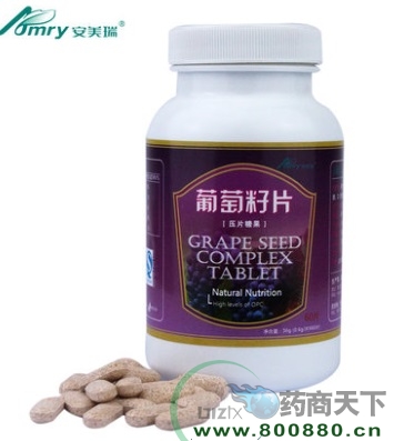 ��������������Ƭ����|˵����