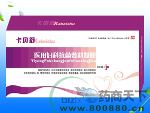 ���������|˵����