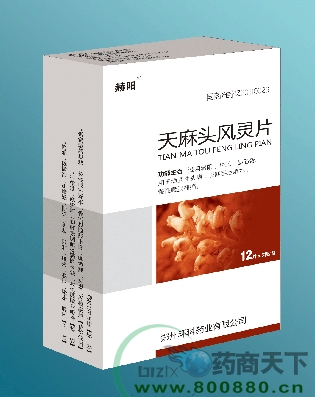 ����ͷ����Ƭ