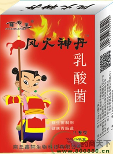 ���������|˵����