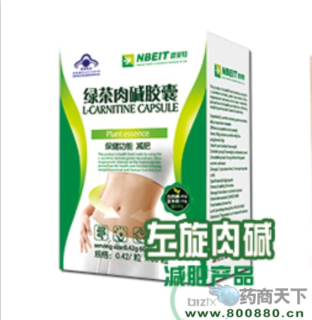 �̲���������|˵����