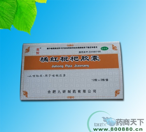 �ٺ����˽���