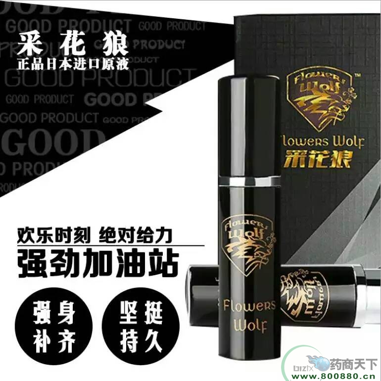 �ɻ�������|˵����