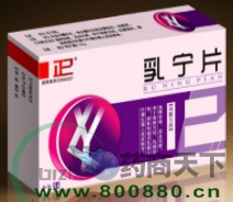 ����Ƭ����|˵����