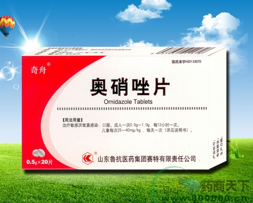 ������Ƭ 0.5g*20Ƭ����|˵����