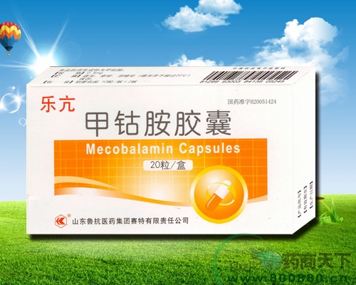 ���ܰ���������|˵����