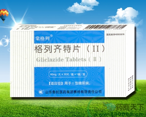 ��������Ƭ��II�� 80mg*30Ƭ����|˵����