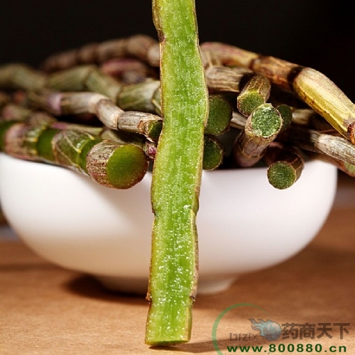 �ִ��Ų� ��Ƥʯ������