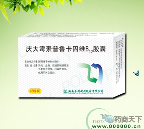 ���ù����³����άB12���� ����|˵����