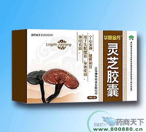湖北京康药业有限公司-灵芝胶囊