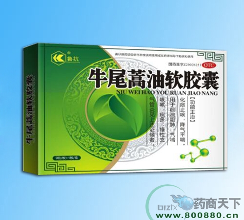 湖北京康药业有限公司-牛尾蒿油软胶囊