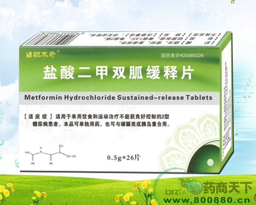 �������˫�һ���Ƭ����|˵����