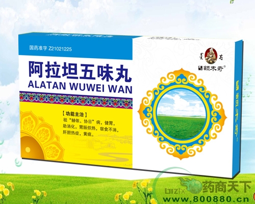 ����̹��ζ������|˵����