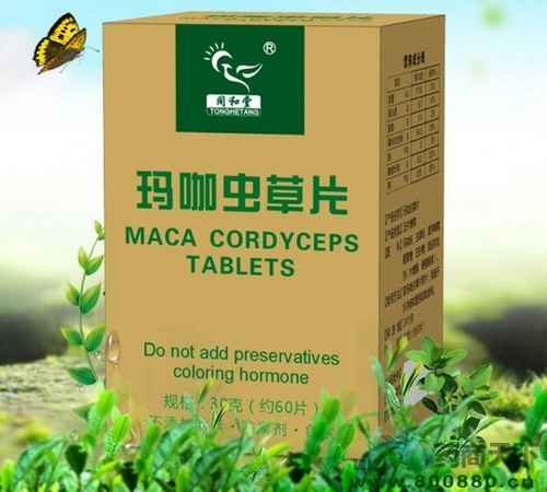 �꿧�������|˵����