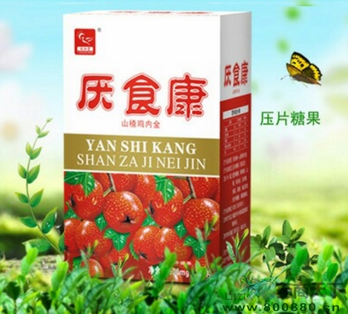 ��ʳ������|˵����