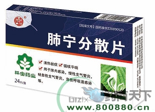 ������ɢƬ 