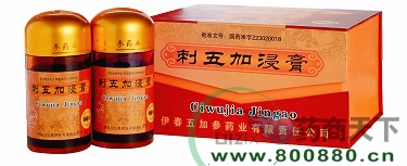 ����ӽ���