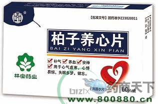 ��������Ƭ����|˵����