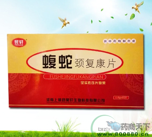 ���߾�����Ƭ����|˵����