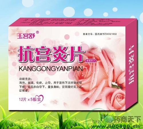 ������Ƭ����|˵����