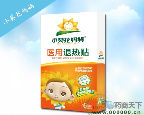 С��������ҽ������������|˵����