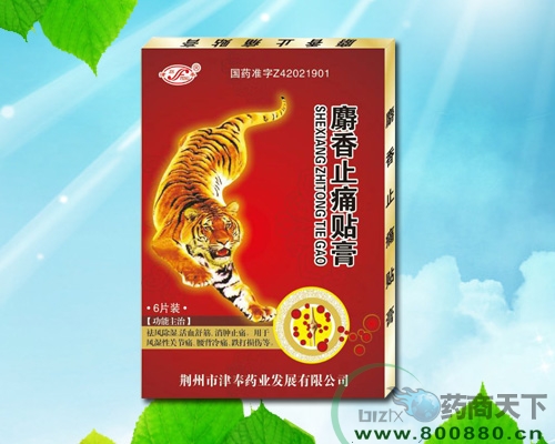 ����ֹʹ��������|˵����