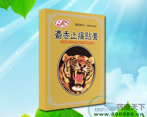 ����ֹʹ����