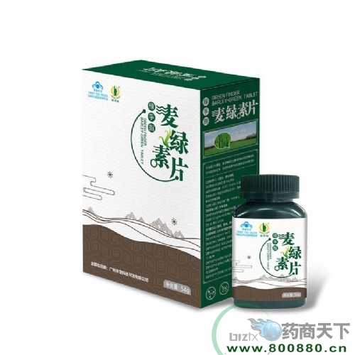 ����ָ������Ƭ