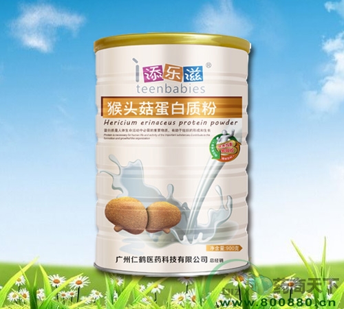 ��ͷ�������ʷ�����|˵����