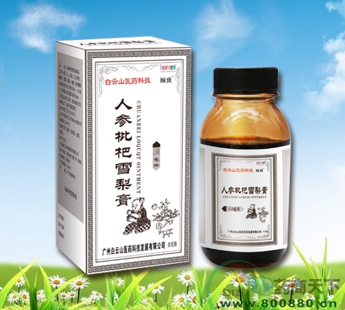 �˲�����ѩ�������|˵����