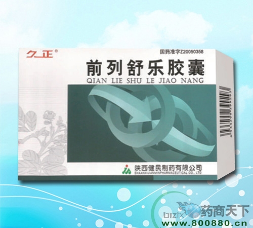 ǰ�����ֽ�������|˵����