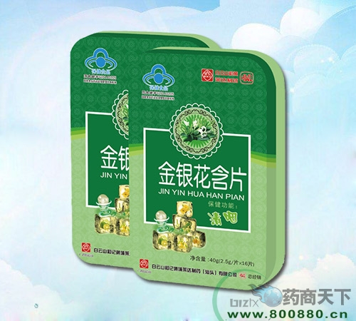 ��������Ƭ����|˵����