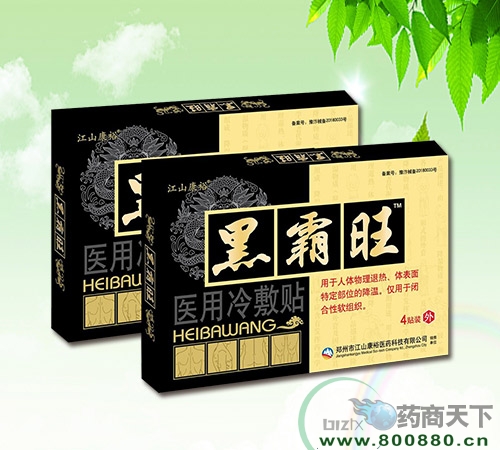 �����ҽҩ�Ƽ����޹�˾-�ڰ���ҽ�������