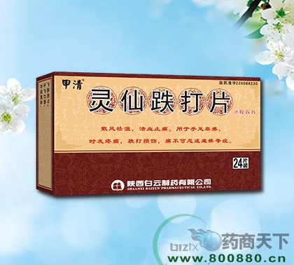 ���ɵ���Ƭ����|˵����