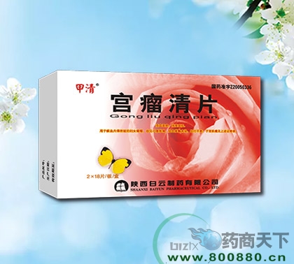 ������Ƭ����|˵����