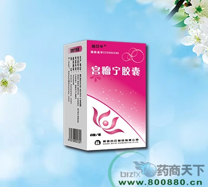 ��������������|˵����