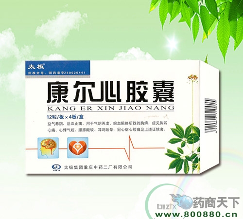 �����Ľ�������|˵����