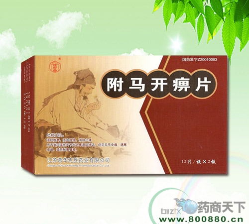 ��������Ƭ