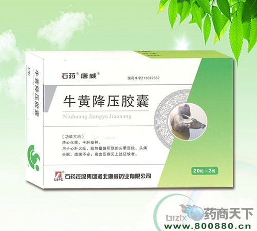 ţ�ƽ�ѹ��������|˵����