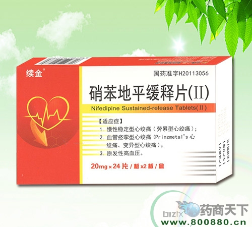 ������ƽ����Ƭ(II)