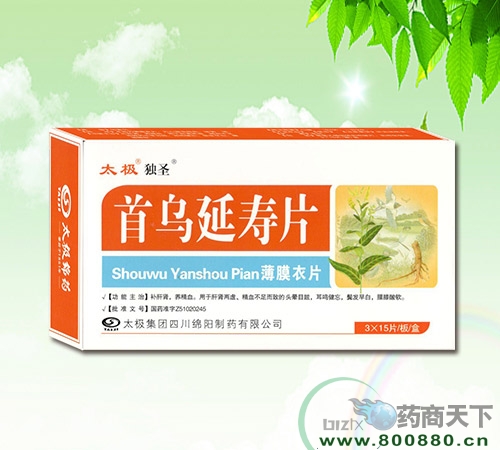 ��������Ƭ����|˵����