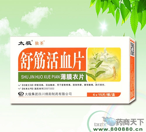 ����ѪƬ����|˵����