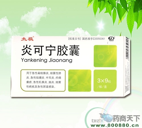 �׿�����������|˵����