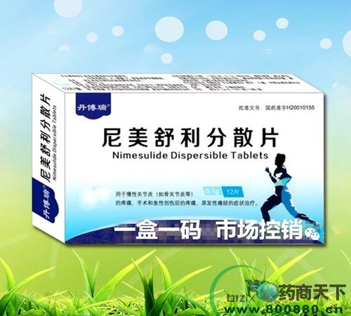 ����������ɢƬ����|˵����