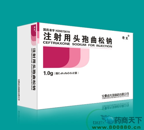 ע����ͷ������������|˵����