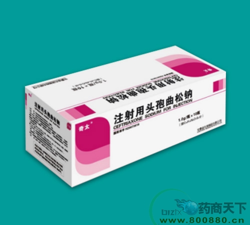 ע����ͷ��������